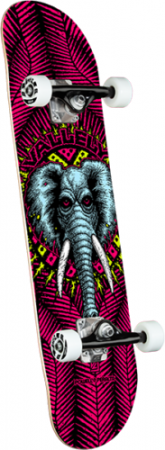 Powell Peralta 8,25" Vallely Elephant 243 Factory Skateboard Komplett